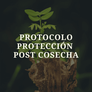 Protección Post Cosecha